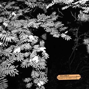 Dolorean - Violence in the Snowy Fields - LP