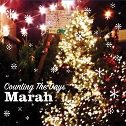 Marah Counting the Days - LP