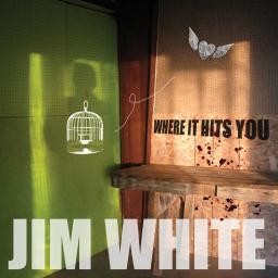 Jim White - Where It Hits You - LP