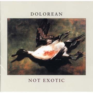 Dolorean - Not Exotic - Bundle