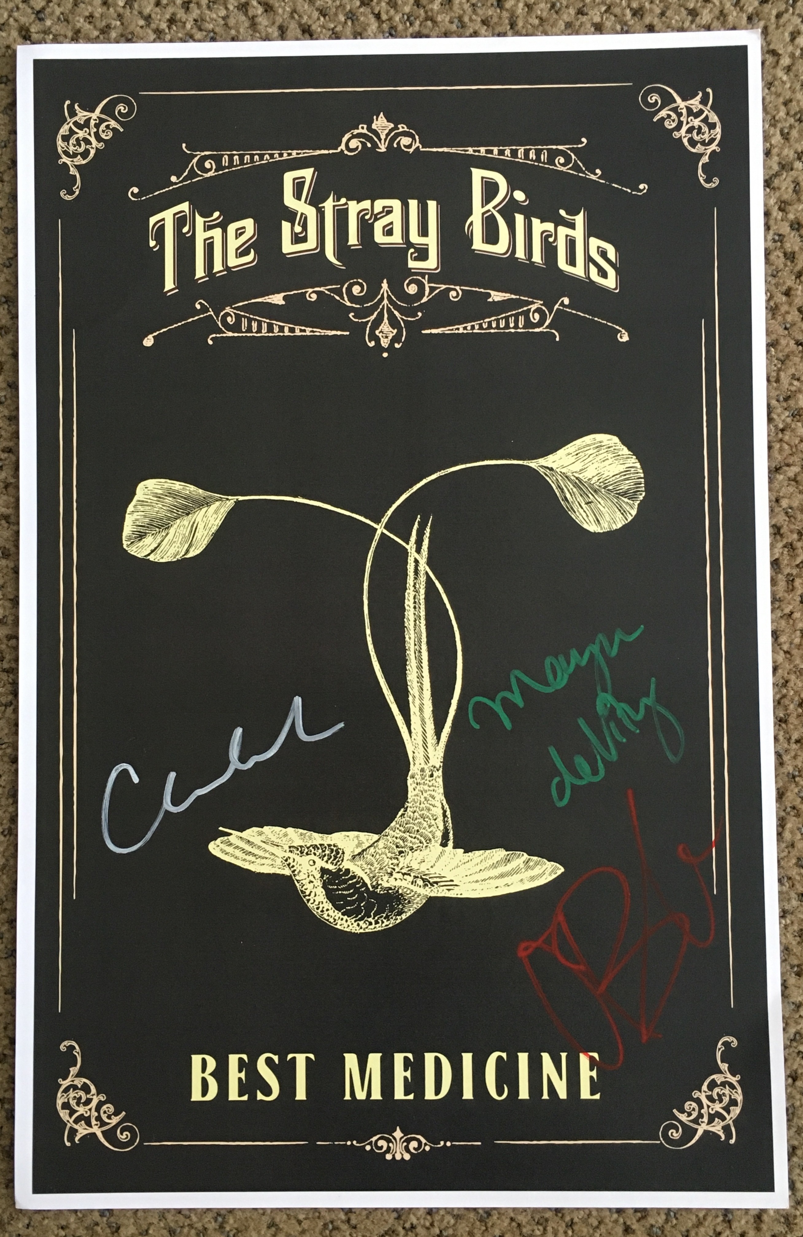 The Stray Birds - Best Medicine (AUTOGRAPHED POSTER)