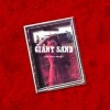 Giant Sand - The Love Songs