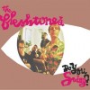 The Fleshtones - Do You Swing?