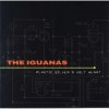 The Iguanas - Plastic Silver 9-Volt Heart