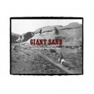 Giant Sand - Ballad of a Thin Line Man