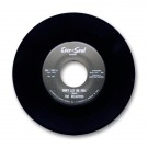 The Relatives - Don't Let Me Fall b/w Leave Something Worthwhile - Vinyl Single