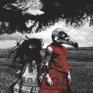 The Standard - Albatross